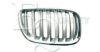 EQUAL QUALITY G1651 Radiator Grille